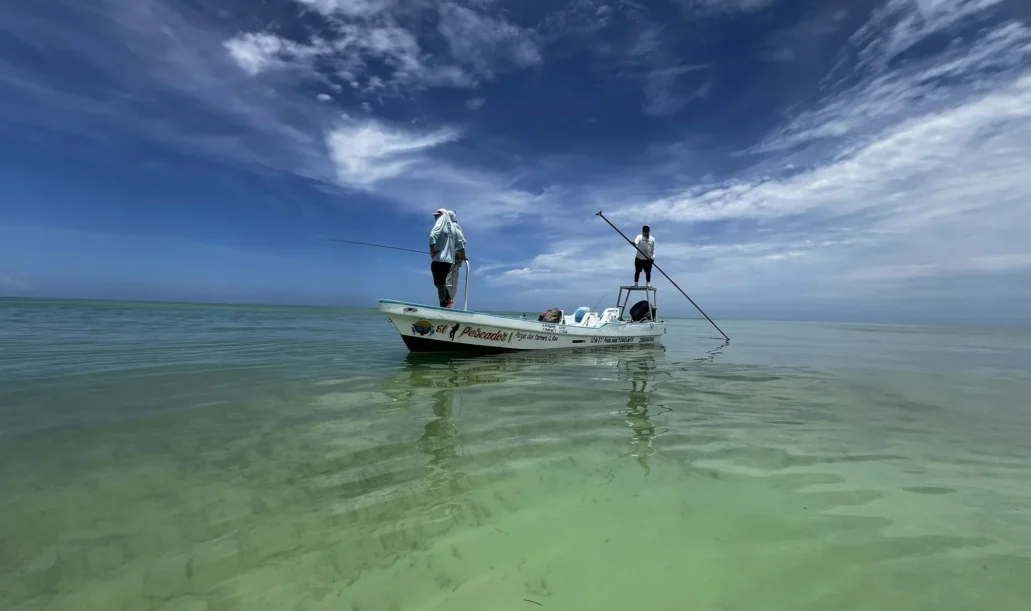 Fishing