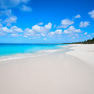 lonely beach in Barbuda, called Princess Diana beach because was one of her favorite. white sand, cristalline water, completely deserted