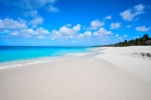 lonely beach in Barbuda, called Princess Diana beach because was one of her favorite. white sand, cristalline water, completely deserted